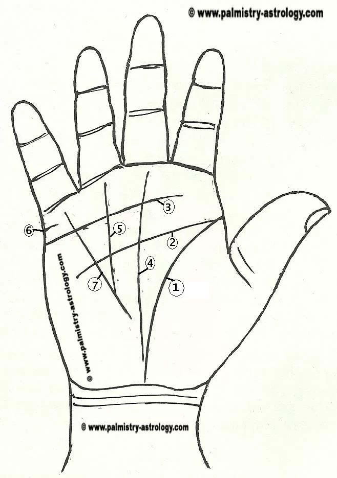 Important lines on Palm Know which line is Life line, Head line